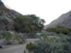Campsite in Cottonwood Canyon